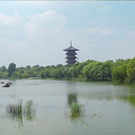 潍坊白浪绿洲湿地 VR全景